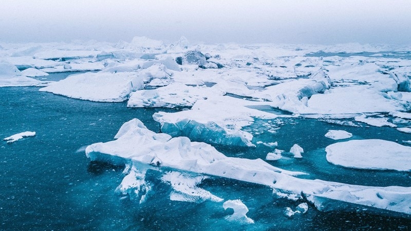 Frozen Arctic Affairs Council