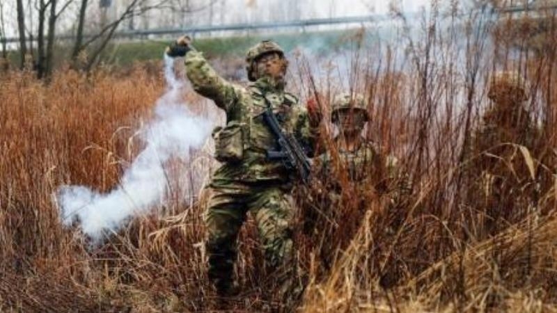 NATO: dismember and rule