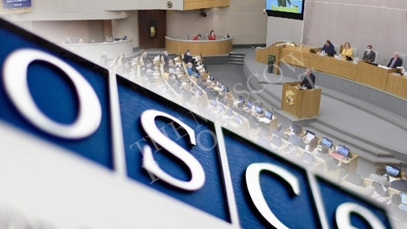 The Duma on Tuesday will announce the suspension of the participation of the Russian delegation in the OSCE PA