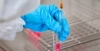 The owner of the company "Promomed" Petr Bely: how to put together a billion dollars for HIV and oncology
