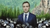 Diamond prospects of Pavel Marinychev